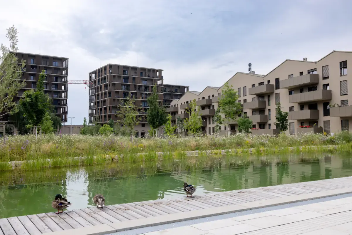 Dans quels quartiers acheter un logement neuf à Strasbourg ?