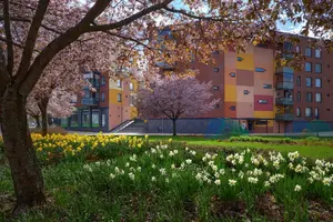 Immobilier neuf : quels prix au printemps 2026 ?