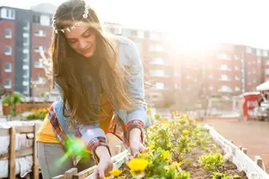 Y a-t-il des jardins partagés dans les programmes neufs ?