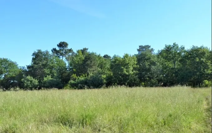 Terrain à partir de 307m² à saucats à Saucats (33650)