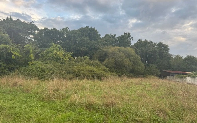 Terrain à partir de 550m² à Vendays-Montalivet à Vendays-Montalivet (33930)