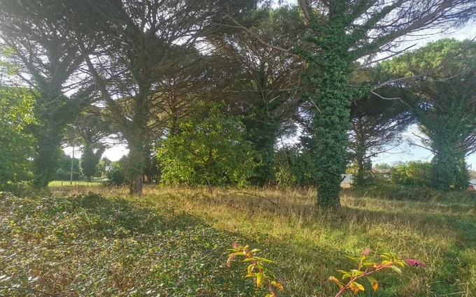 Terrain à partir de 1000m² à Saint-Maixant à Saint-Maixant