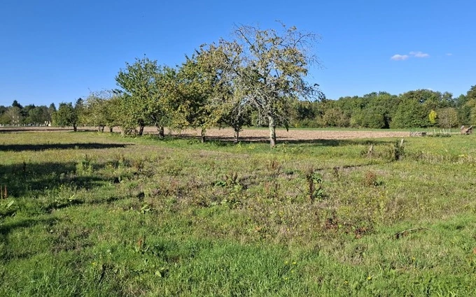 Terrain à partir de 1100m² à Saint-Philippe-du-Seignal à Saint-Philippe-du-Seignal (33220)
