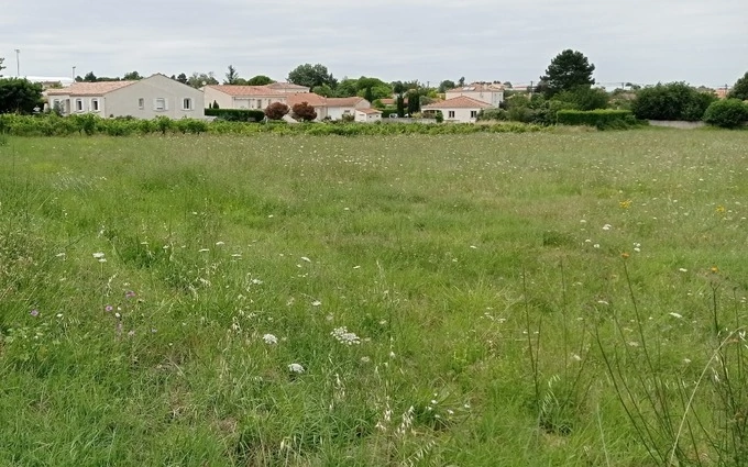 Terrain à partir de 180m² à Meschers-sur-Gironde à Meschers-sur-Gironde (17132)