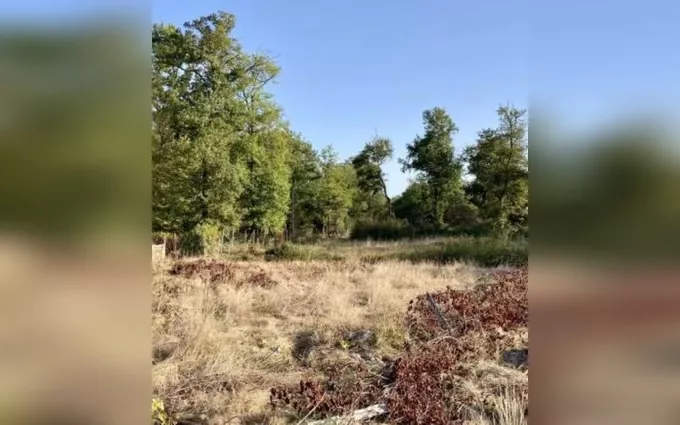 Terrain à partir de 580m² à Saint-Genès-de-Lombaud à Saint-Genès-de-Lombaud (33670)