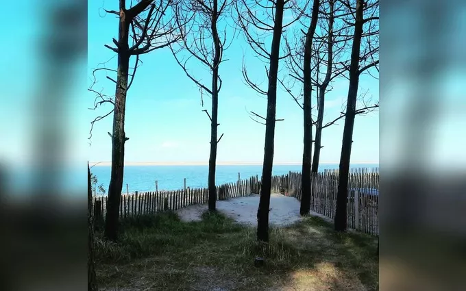 Terrain à partir de 1300m² à Pyla-sur-Mer à La Teste-de-Buch (33115)