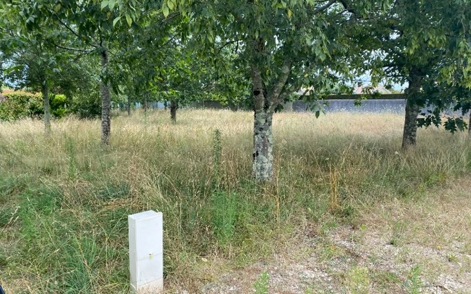 Terrain à partir de 742m² à Camblanes-et-Meynac à Camblanes-et-Meynac (33360)