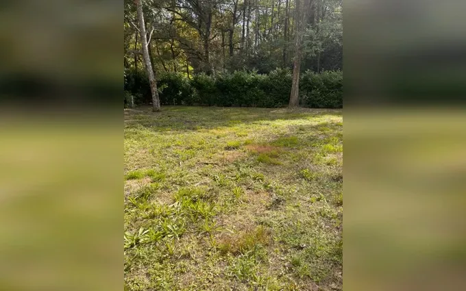 Terrain à partir de 750m² à La Brède à La Brède (33650)