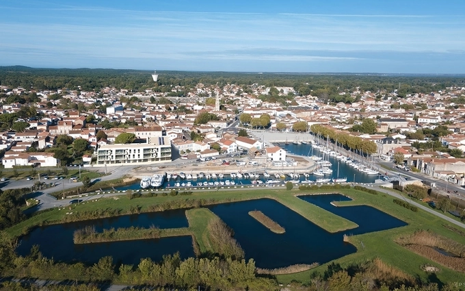 Les haubans à La Tremblade (17390)
