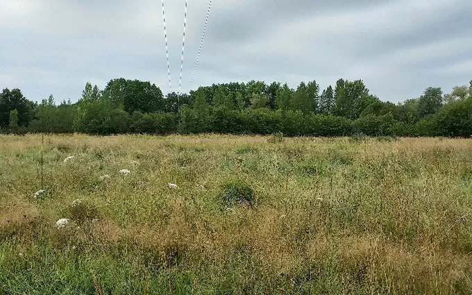 Terrain à partir de 1000m² à ménesplet à Ménesplet (24700)