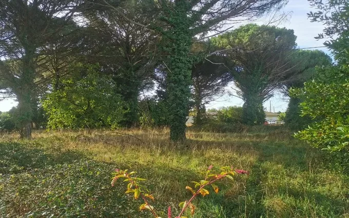 Terrain à partir de 700m² à langon à Langon (33210)