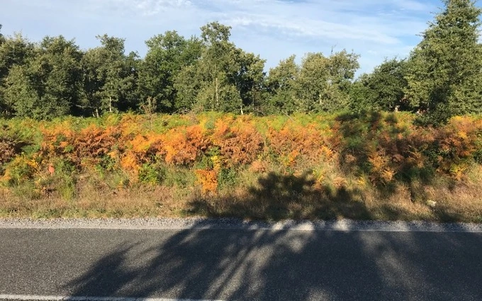 Terrain à partir de 746m² à le temple à Le Temple