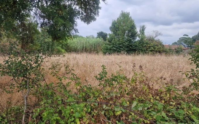 Terrain à partir de 900m² à mazion à Mazion (33390)