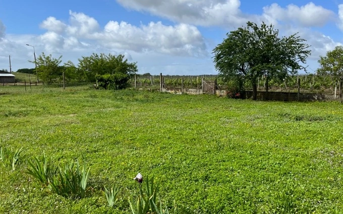 Terrain à partir de 785m² à lège-cap-ferret à Lège-Cap-Ferret (33950)