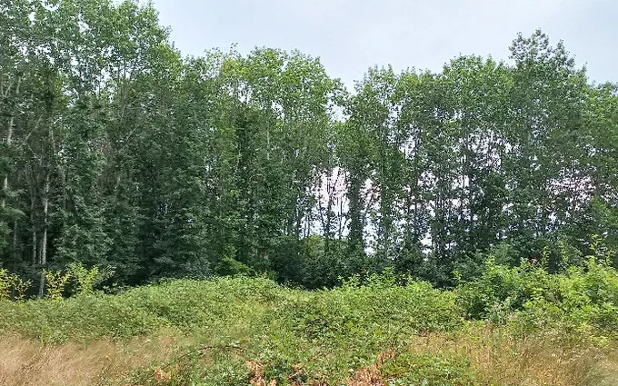 Terrain à partir de 1000m² à ménesplet à Ménesplet (24700)