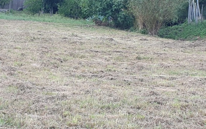Terrain à partir de 1200m² à saint-romain-la-virvée à Saint-Romain-la-Virvée (33240)