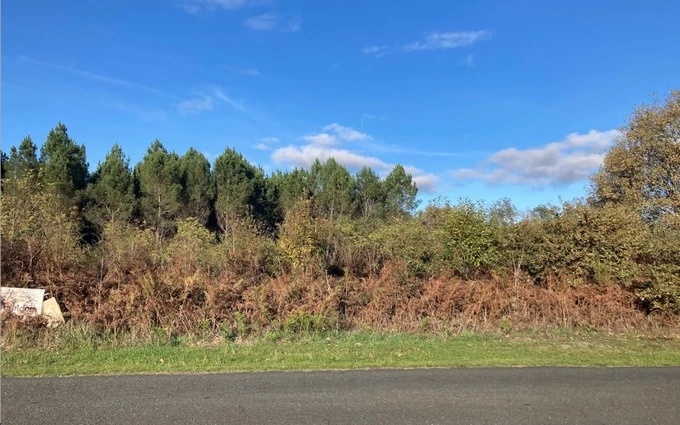 Terrain à partir de 800m² à balizac à Balizac