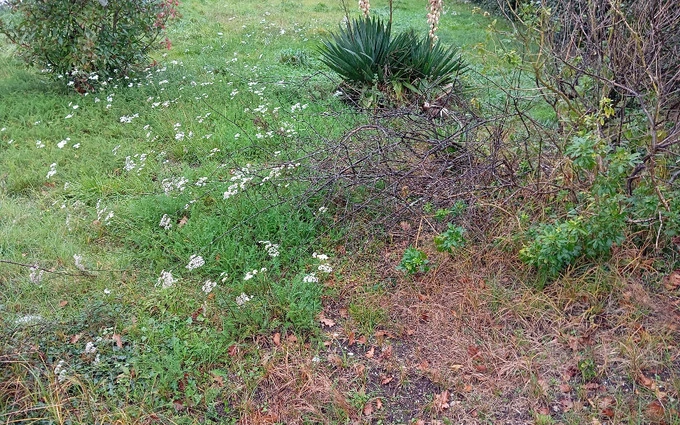 Terrain à partir de 430m² à marcheprime à Marcheprime (33380)