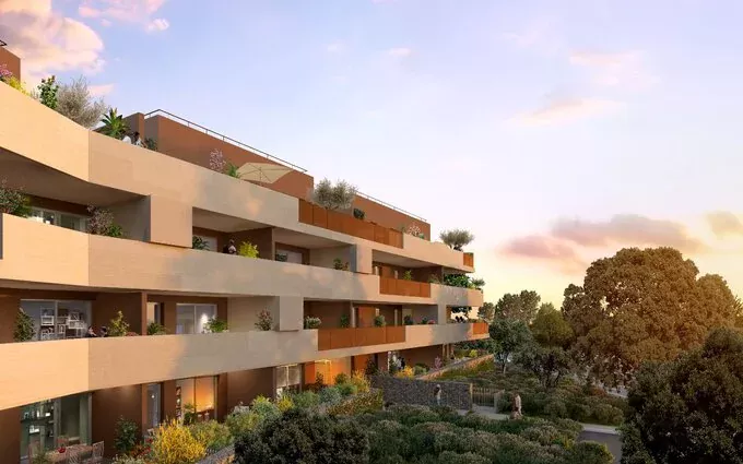 Les lavandes à Castries