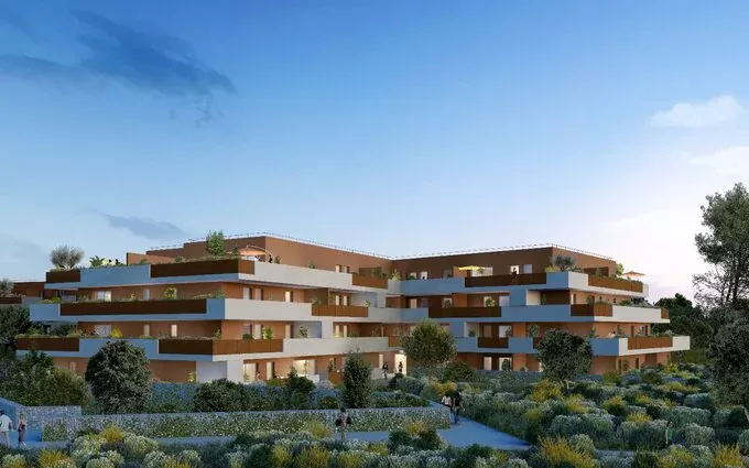 Les lavandes à Castries