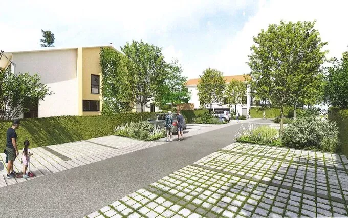 Les carrés des cèdres