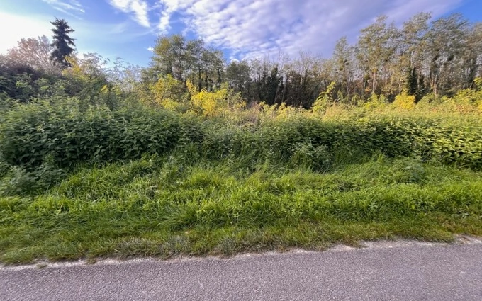 Terrain à partir de 1000m² à saint-michel-de-rieufret à Saint-Michel-de-Rieufret (33720)