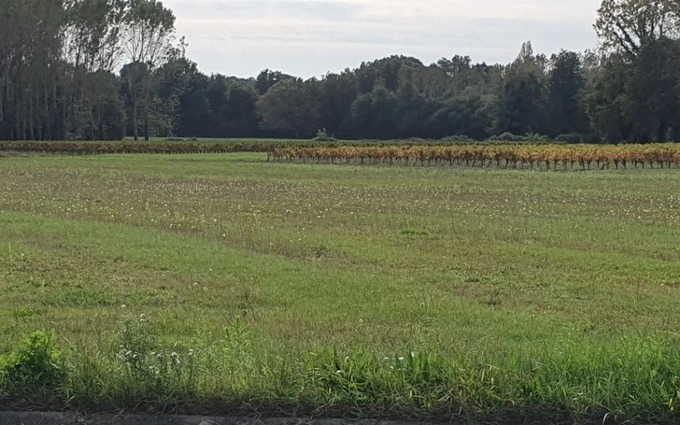 Terrain à partir de 540m² à saint-savin à Saint-Savin