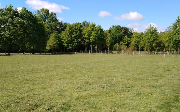 Terrain à partir de 1534m² à beaupouyet à Beaupouyet