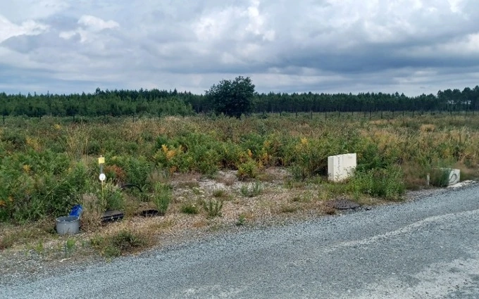 Terrain à partir de 767m² à lanton à Lanton (33138)