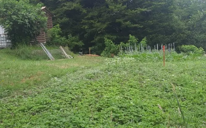 Terrain à partir de 330m² à créon à Créon (33670)