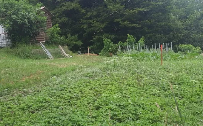 Terrain à partir de 434m² à créon à Créon