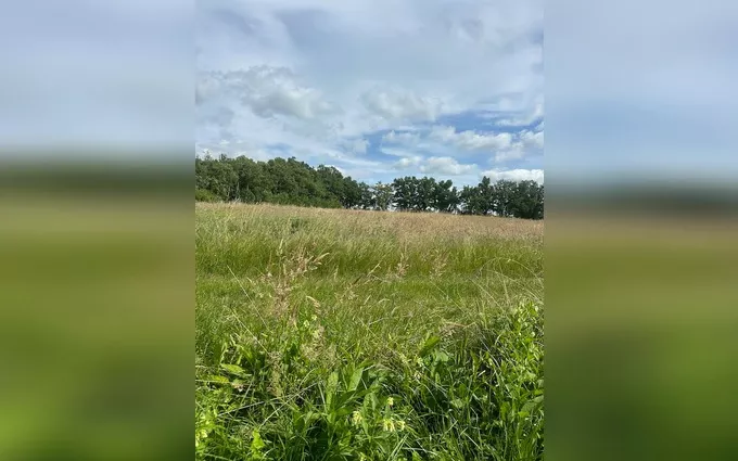 Terrain à partir de 600m² à arveyres à Arveyres (33500)