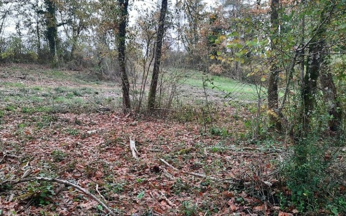 Terrain à partir de 2000m² à maurens à Maurens