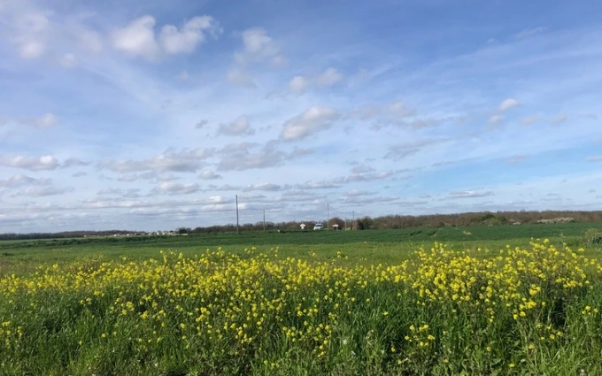 Terrain à partir de 316m² à bourgneuf à Bourgneuf (17220)