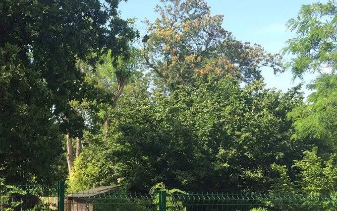 Terrain à partir de 209m² à mérignac à Mérignac (33700)