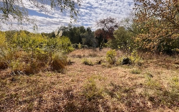 Terrain à partir de 1900m² à langoiran à Langoiran (33550)