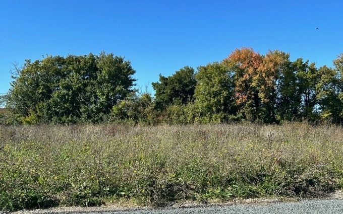 Terrain à partir de 578m² à ardillières à Ardillières