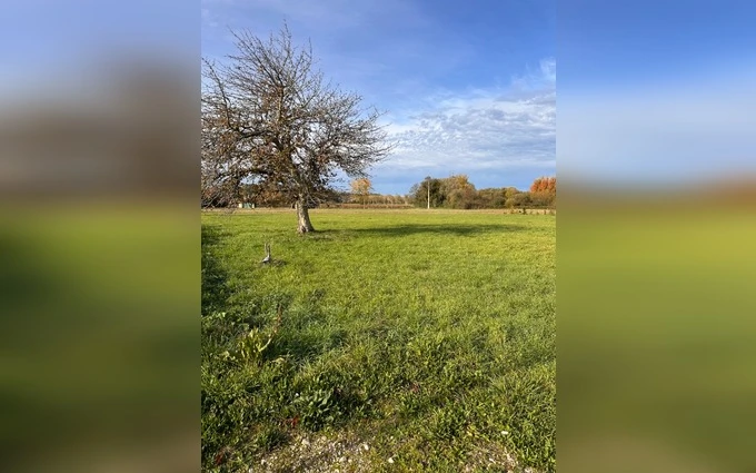 Terrain à partir de 1248m² à sainte-florence à Sainte-Florence