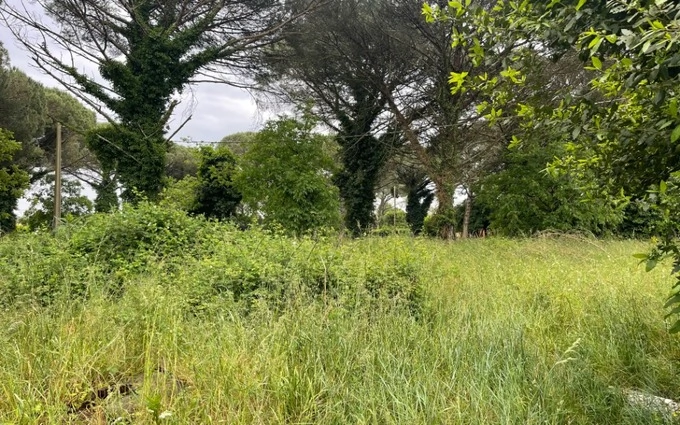 Terrain à partir de 500m² à langon à Langon (33210)