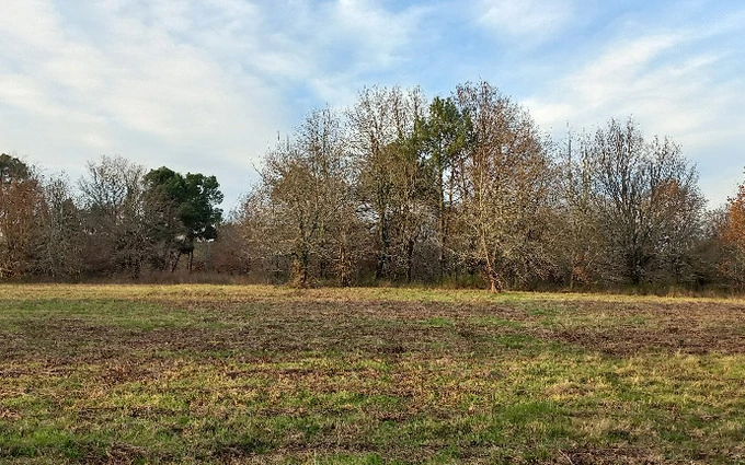 Terrain à partir de 11830m² à saint-laurent-des-hommes à Saint-Laurent-des-Hommes