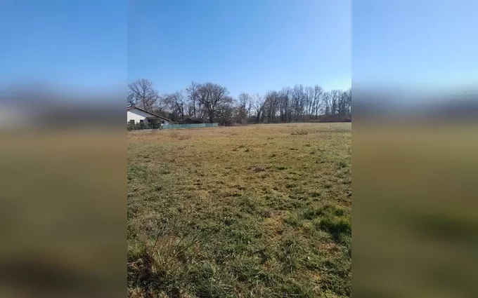 Terrain à partir de 410m² à arsac à Arsac (33460)