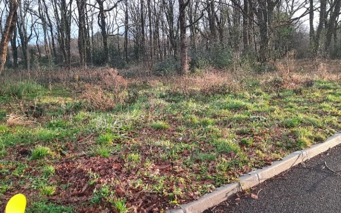 Terrain à partir de 380m² à salles à Salles (33770)