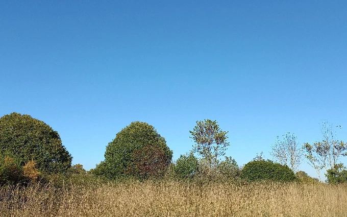 Terrain à partir de 3500m² à saint-martial-d'artenset à Saint-Martial-d'Artenset (24700)