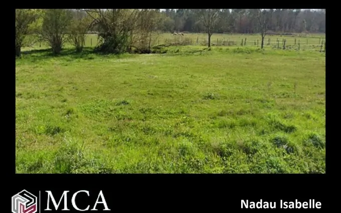 Terrain à partir de 2000m² à saint-ciers-sur-gironde à Saint-Ciers-sur-Gironde (33820)