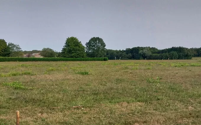 Terrain à partir de 500m² à cérons à Cérons (33720)