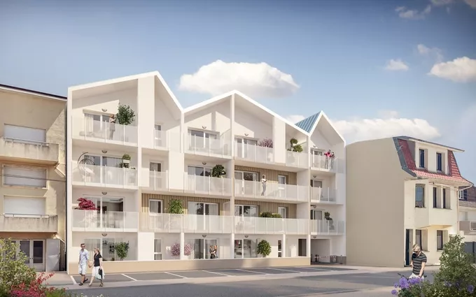 Stella marina à Cucq