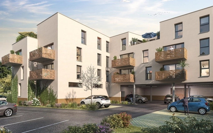 La salicorne à Étaples