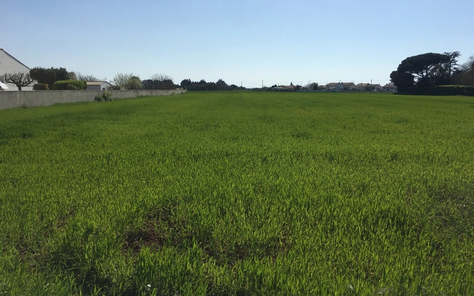 Les pavillons de perna à Châtelaillon-Plage