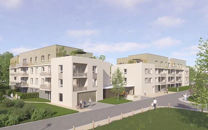 Les grands chênes à Joué-lès-Tours (37300)