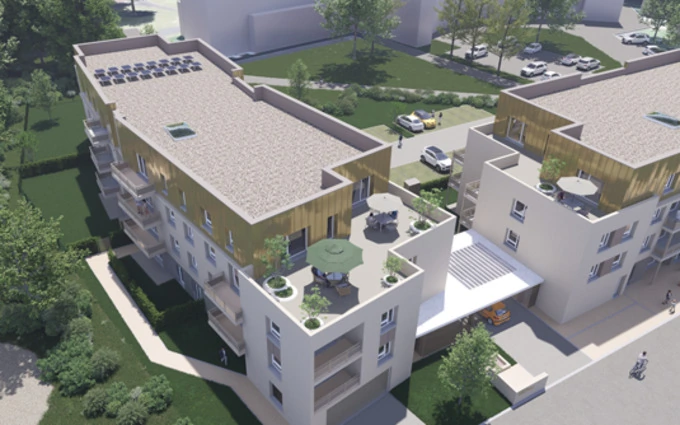 Les grands chênes à Joué-lès-Tours